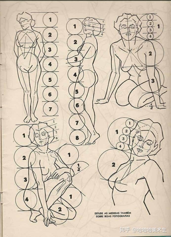 速写--绝版的伯里曼人体结构绘画教学 - 知乎