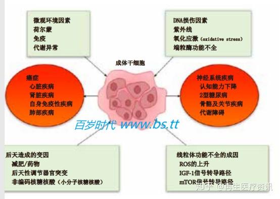 知乎专栏