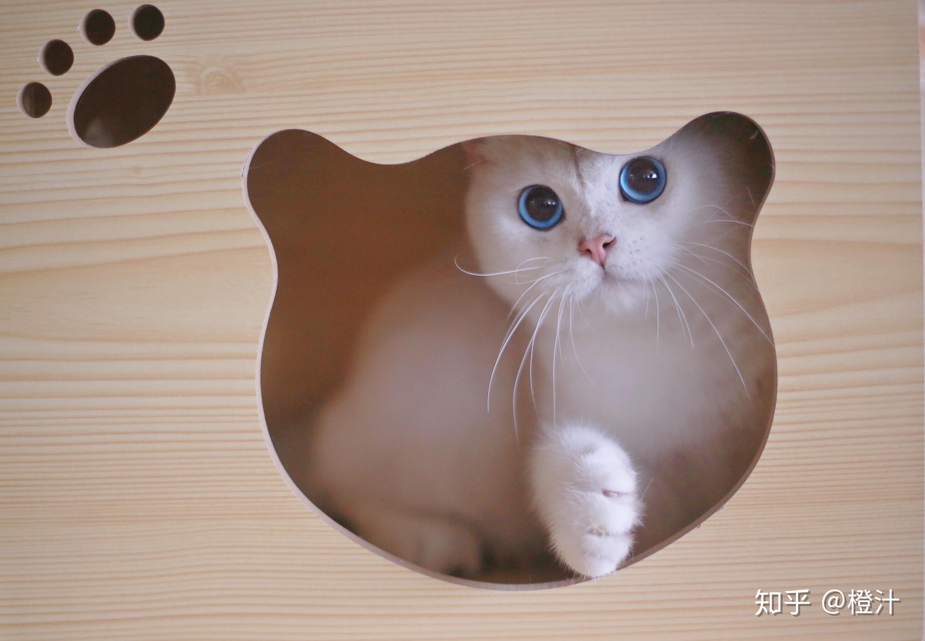 关于银点和渐层的详细解说