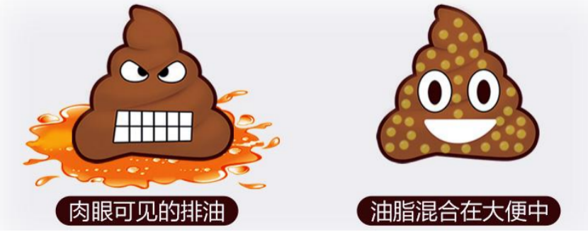 网红减肥药奥利司他真的可用吗本文将带你一起来揭秘