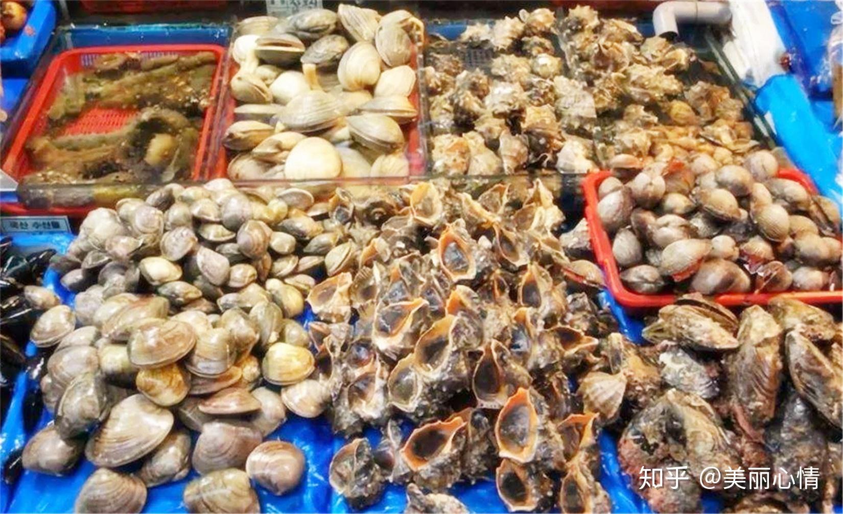 日照当地人热捧的海鲜饭店,日照名店寻访 - 知乎