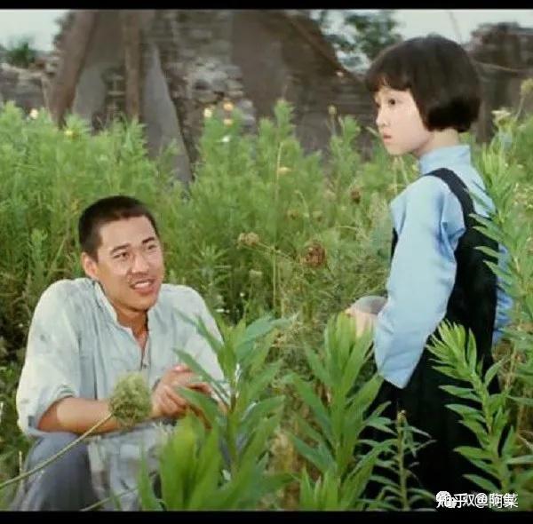《我们看海去》是小英子非常喜欢的一篇课文,她将这个名字作为《城南