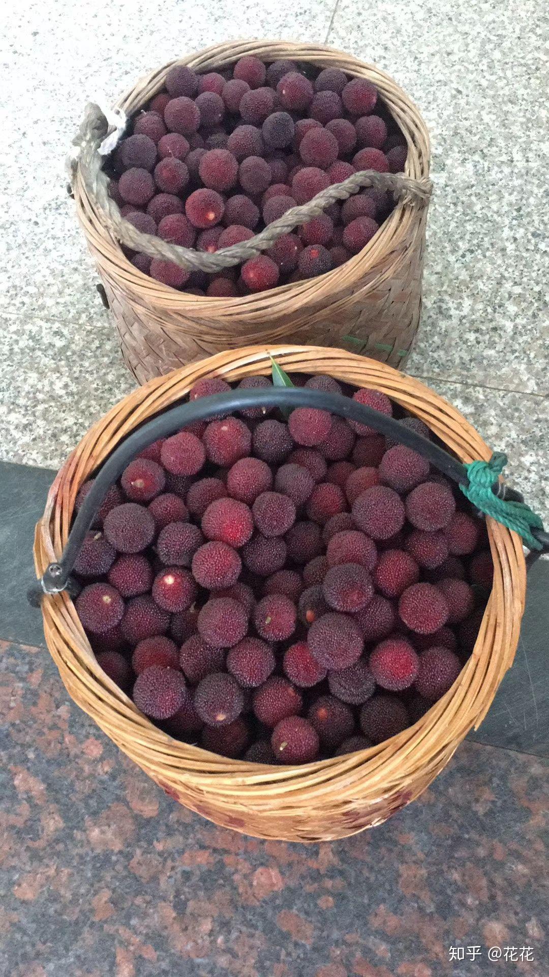 金华兰溪马涧杨梅