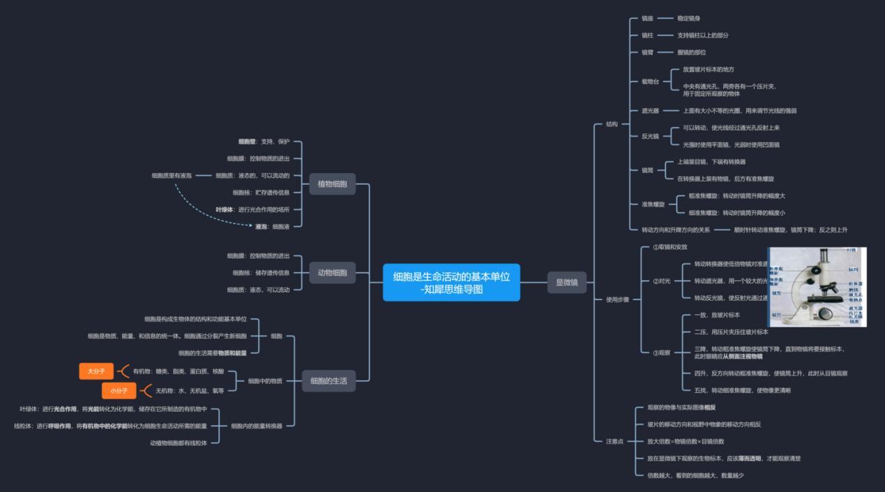 生物上冊大綱思維導圖·初一生物思維導圖初中生物思維導圖怎麼整理?