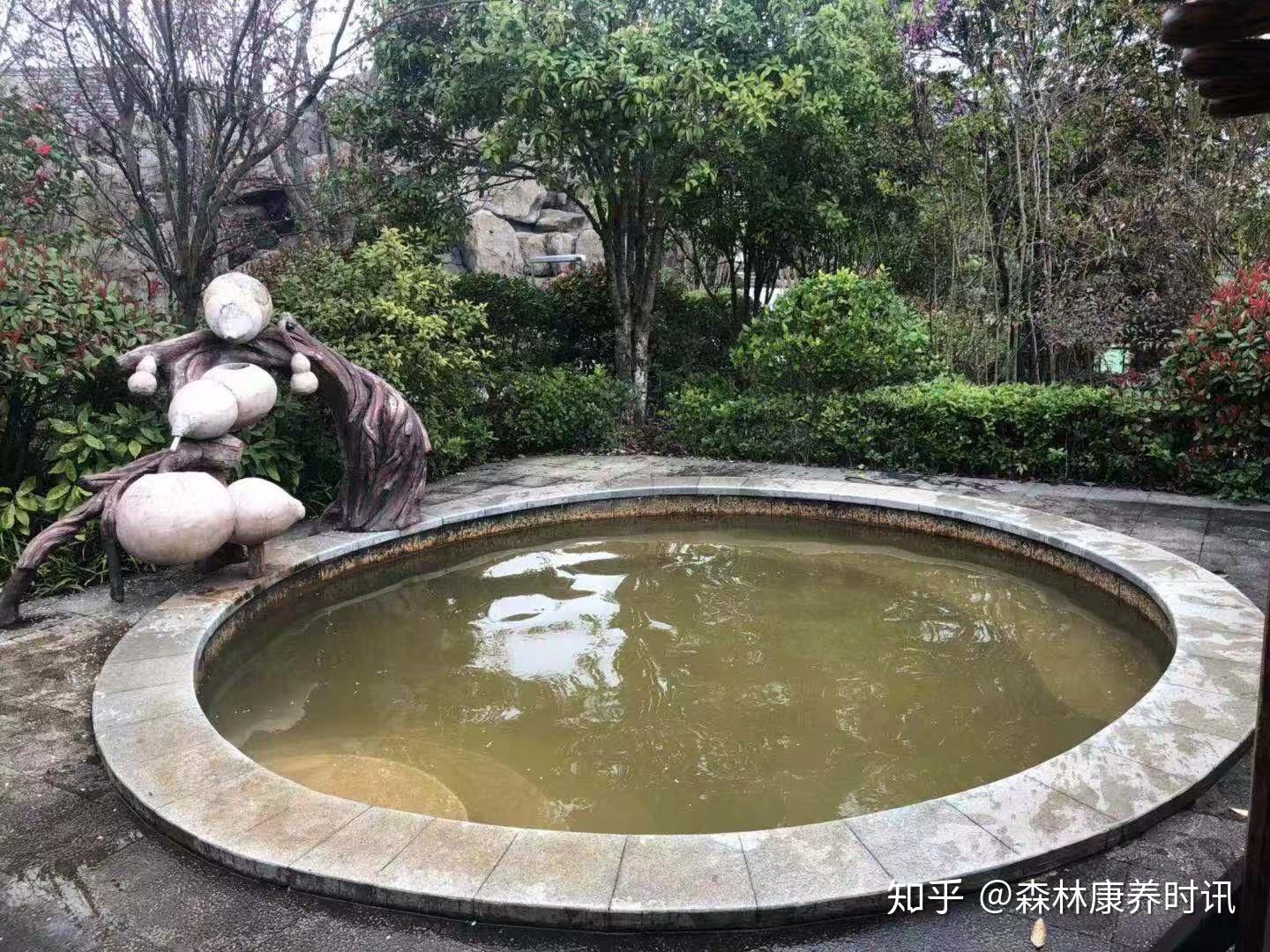 撫州湯溪溫泉森林康養基地坐落於理學之邦---崇仁縣馬鞍鎮湯溪村,是由