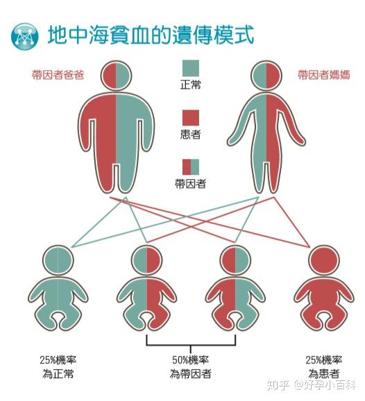 什么是地中海贫血应当如何预防和应对