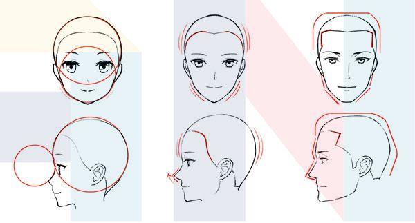 动漫人物男女区别在哪?动漫人物基本头部怎么画?