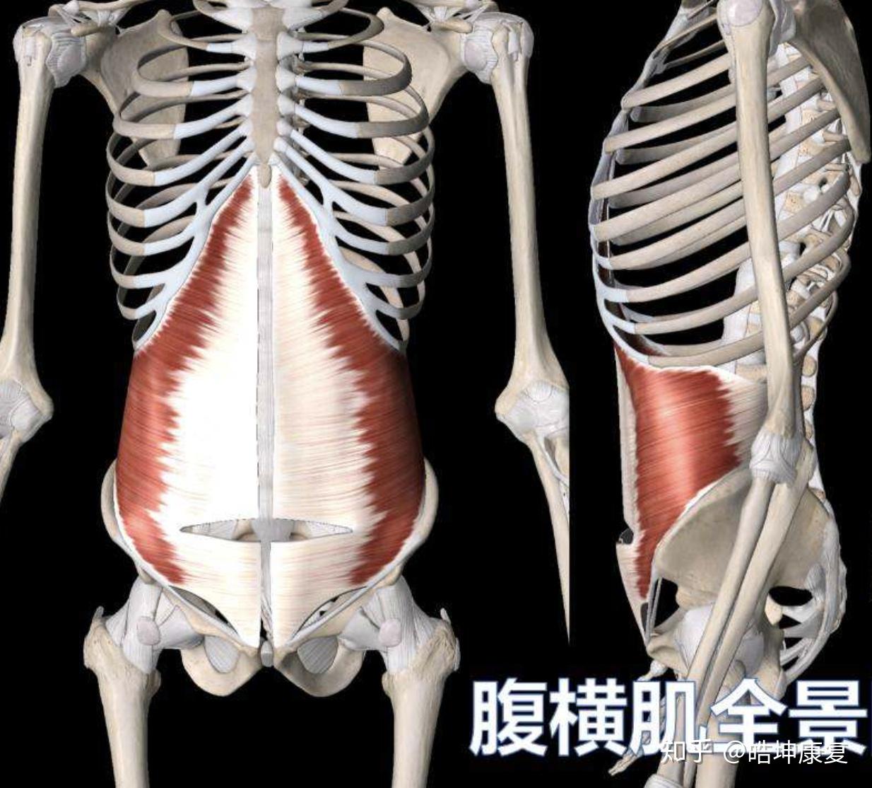 v2-e47c6dcfd8e5939e10eb403617c7aeca_r.jpg