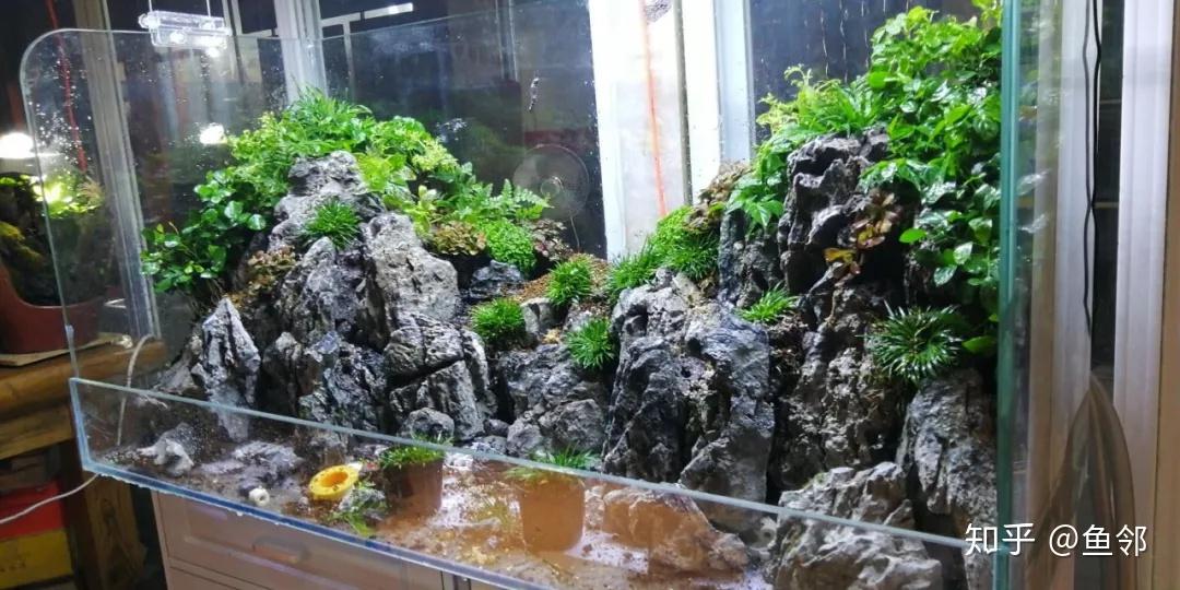 超大气的青龙石中式山水水陆缸