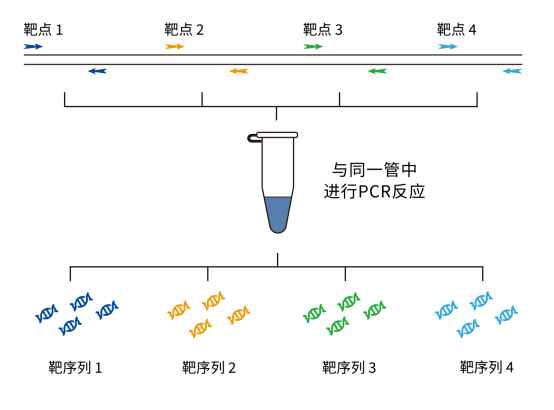 多重qpcr解析，你了解吗？ 知乎 3170