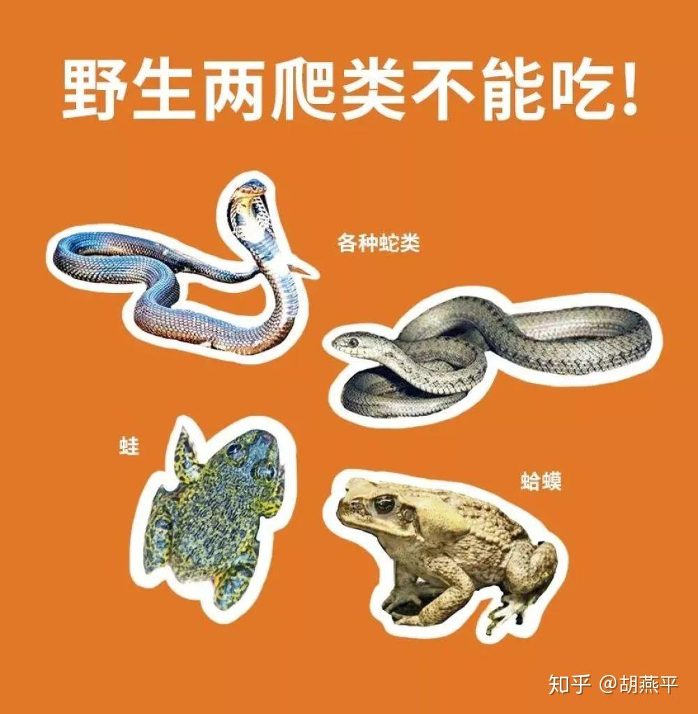 牛蛙餐厅老板关店支持全面禁食令我不想10年后再经历一次