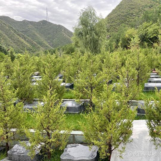 北京昌平十三陵景仰园怎么样虎哥聊墓地