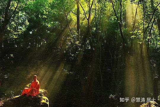禅定… - 知乎