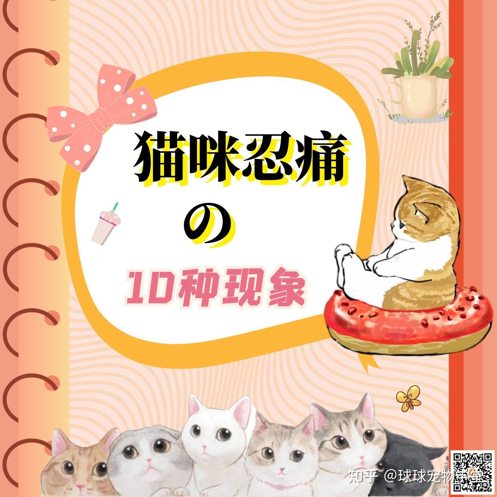 猫猫在忍痛你知道么