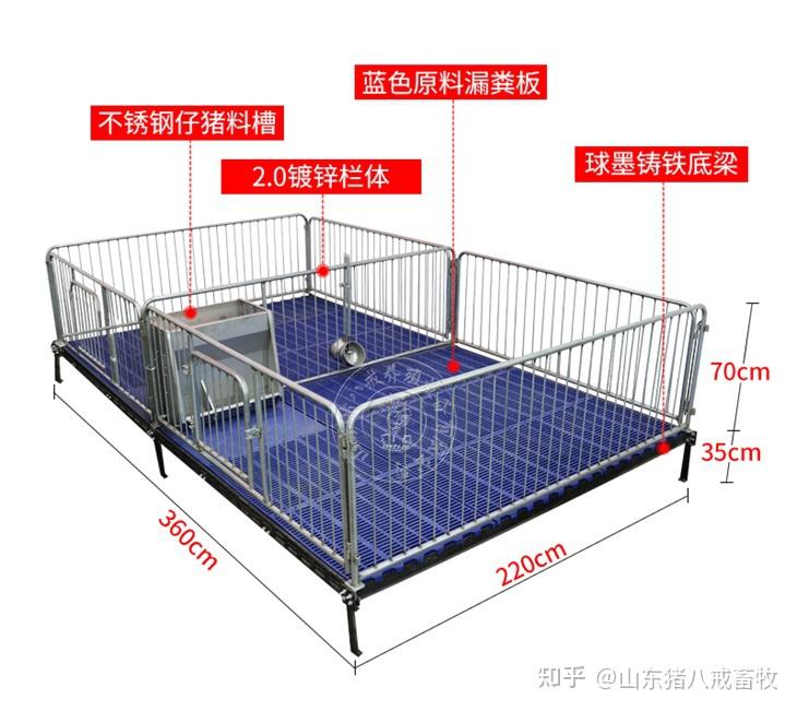 一个保育床可以放多少小猪?如何选择保育床? - 知乎