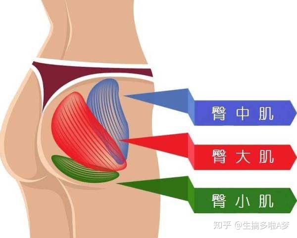 臀部凹陷最有效的办法 v2-e4d841587e7d548d76ee4b488bb4a29e_r.jpg