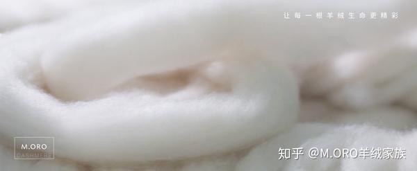 全球优质羊绒纱线来自阿尔巴斯等优良牧区,全球l率先获有机牧场认证--MORO cashmere - 知乎