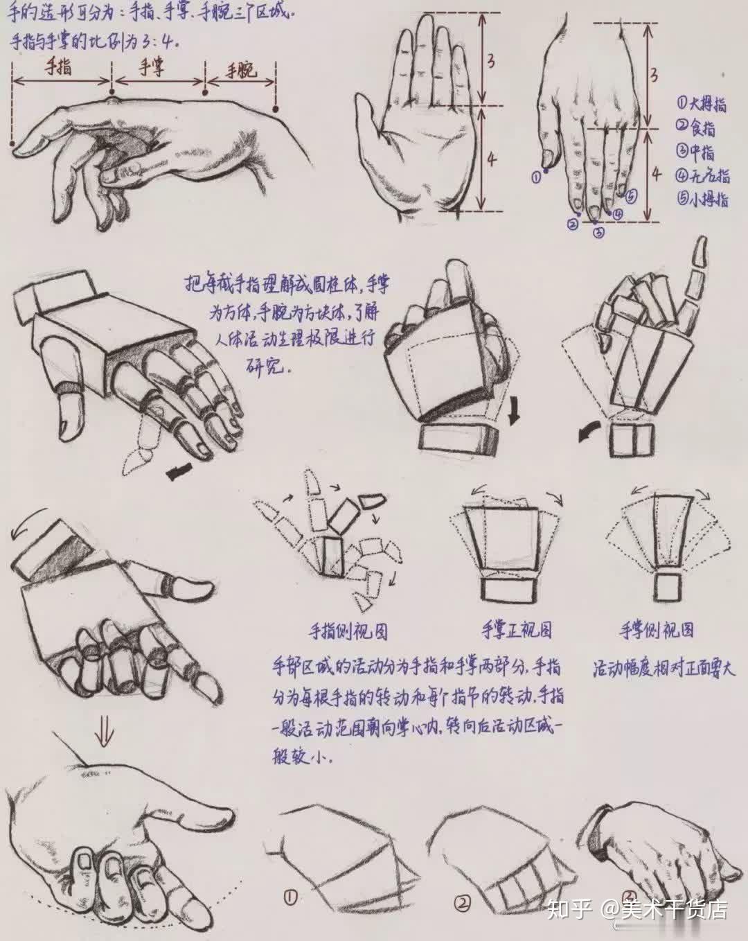 速寫中手的畫法詳細解析及各種手的姿勢臨摹素材明日更新腳的詳細解析