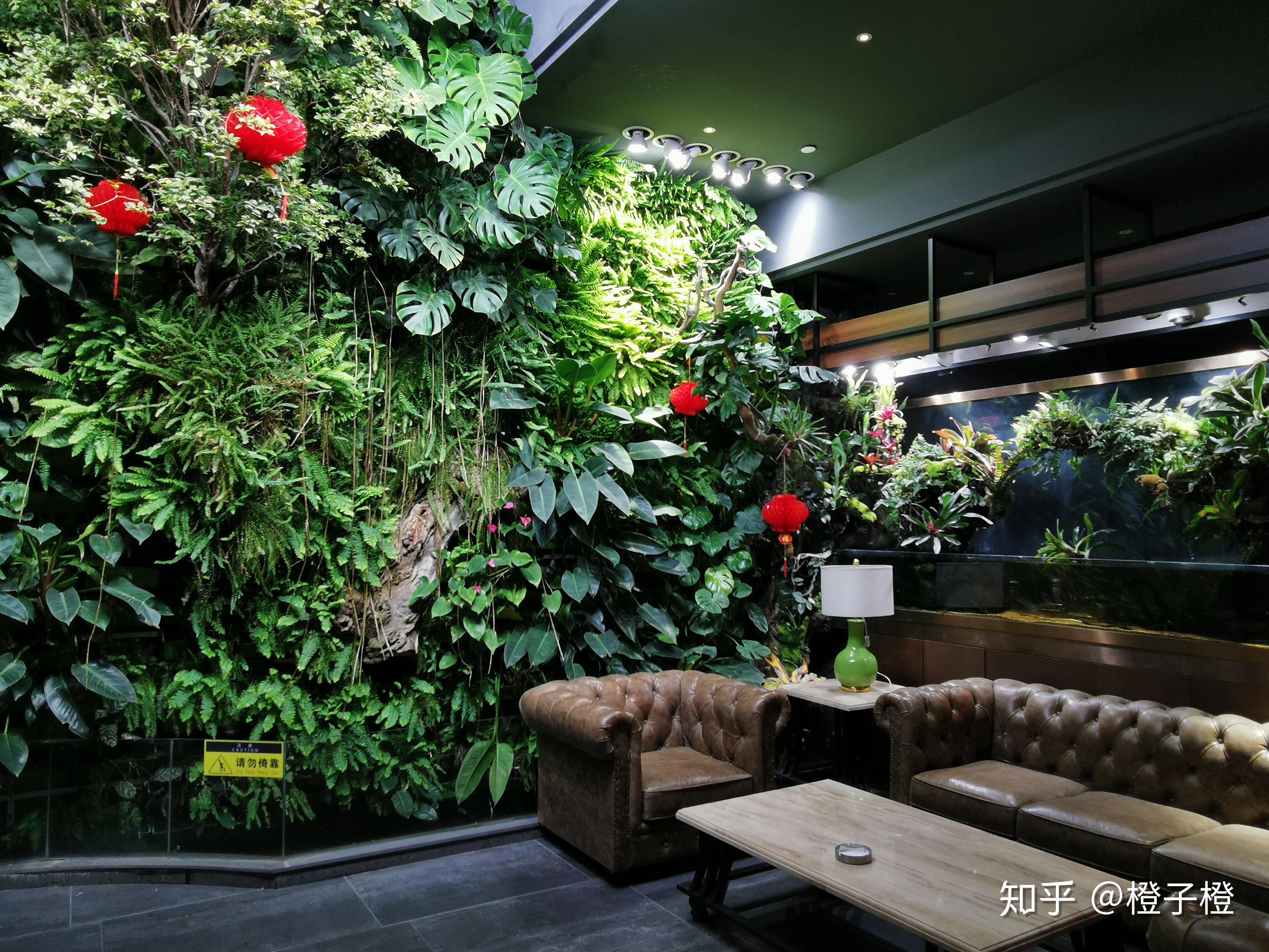 垂直绿化室内造景雨林造景