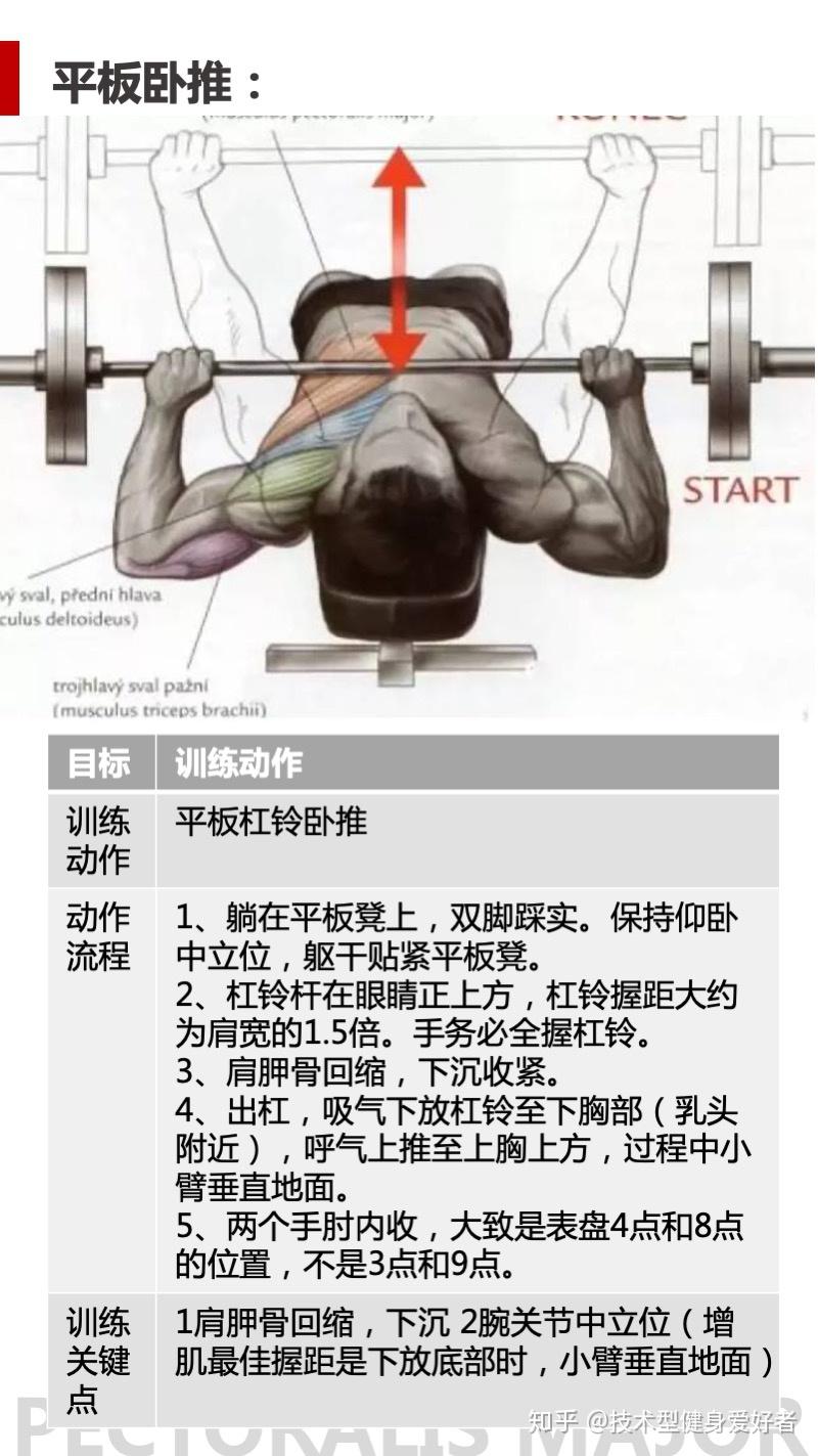 卧推 bench press“仰卧推举”全解(建议收藏) - 知乎