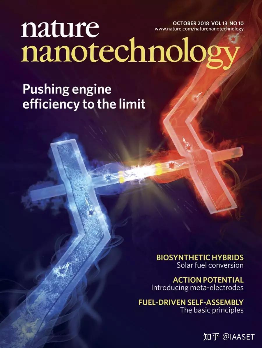10月Nature子刊的45张封面,你pick哪一张? - 知乎