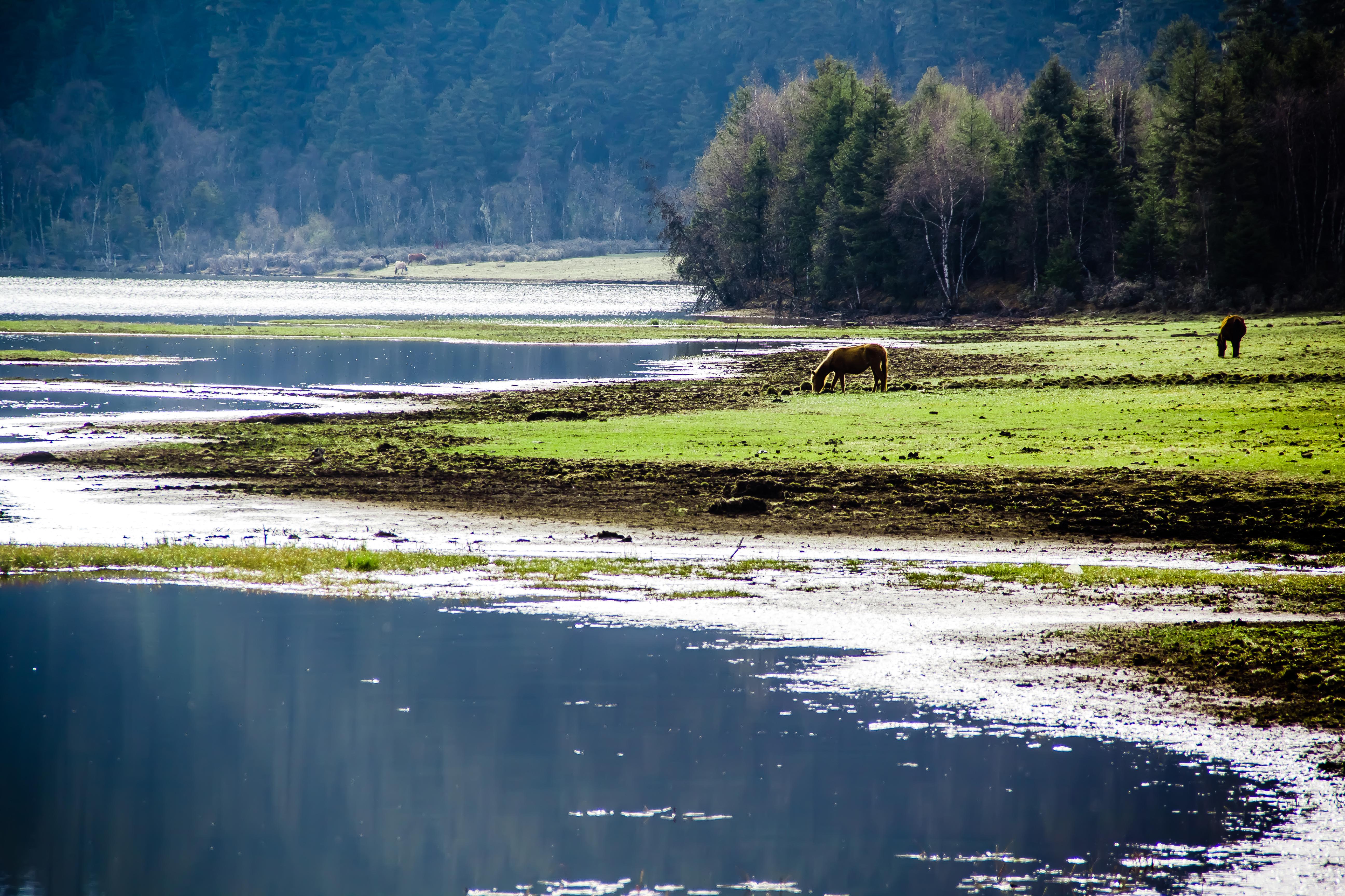 预算4000-6000是买单反还是微单?