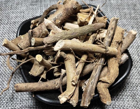 带你识别颠茄草 - 知乎