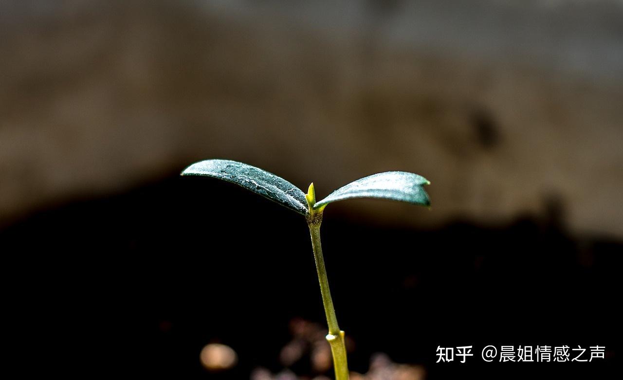 越來越依賴你,飯來張口,衣來伸手,甚至上個廁所,恨不得你給他擦屁股