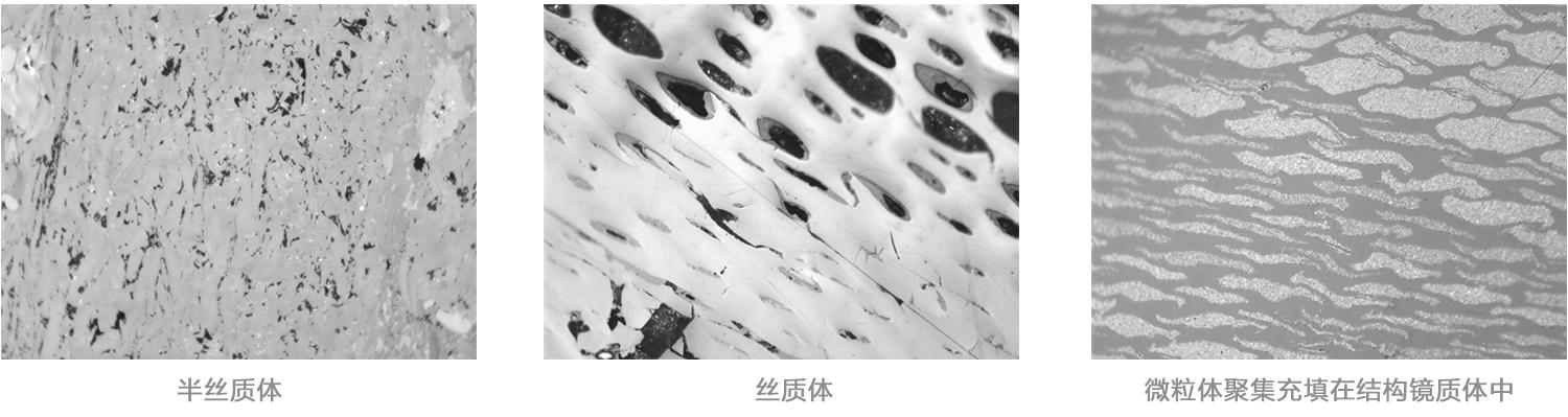 烟煤显微组分识别特征