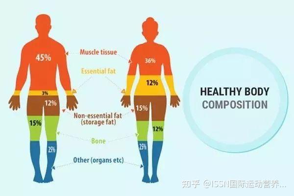 運動熱效應tdee:total daily energy expenditure 每日總能量消耗ree