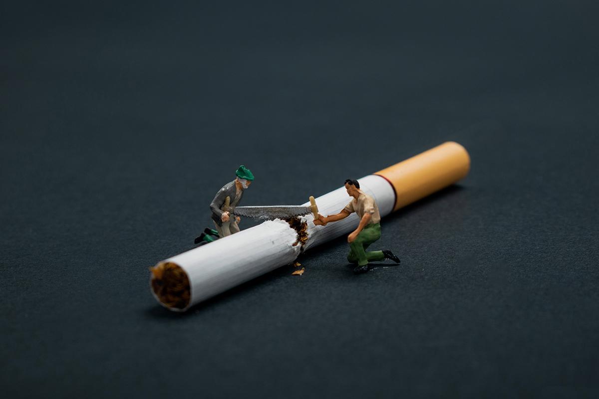 世界无烟日来根华子压压惊