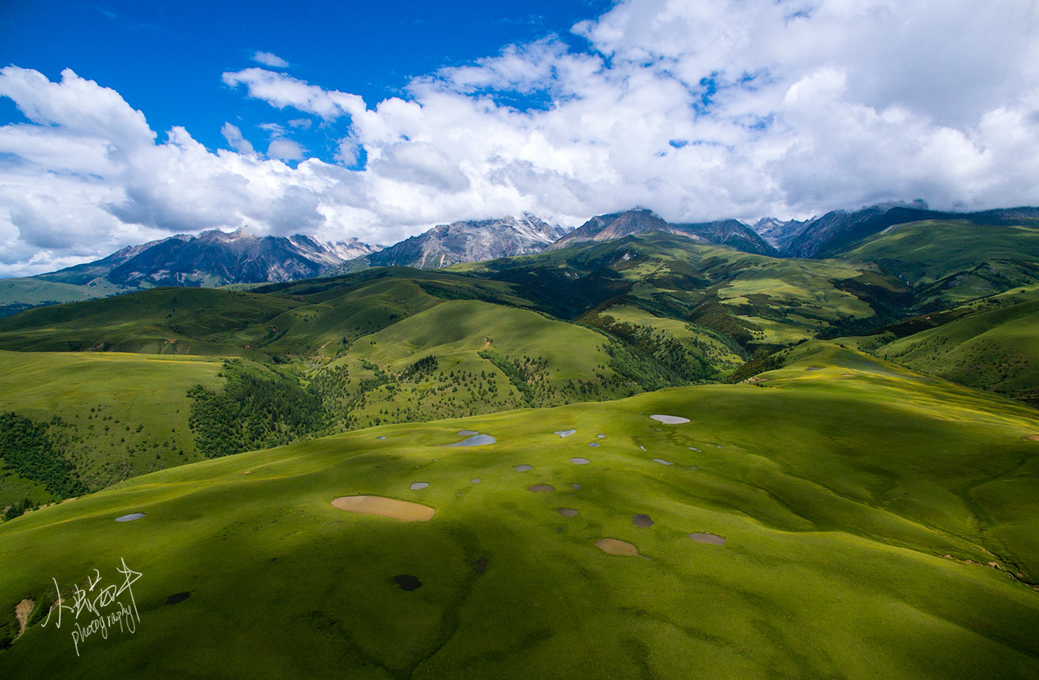 草原地带性图片