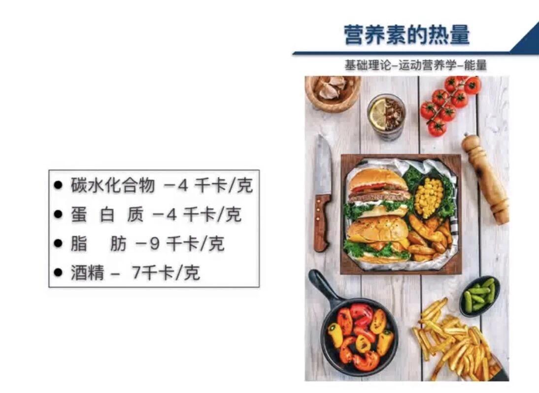 运动营养学能量摄入