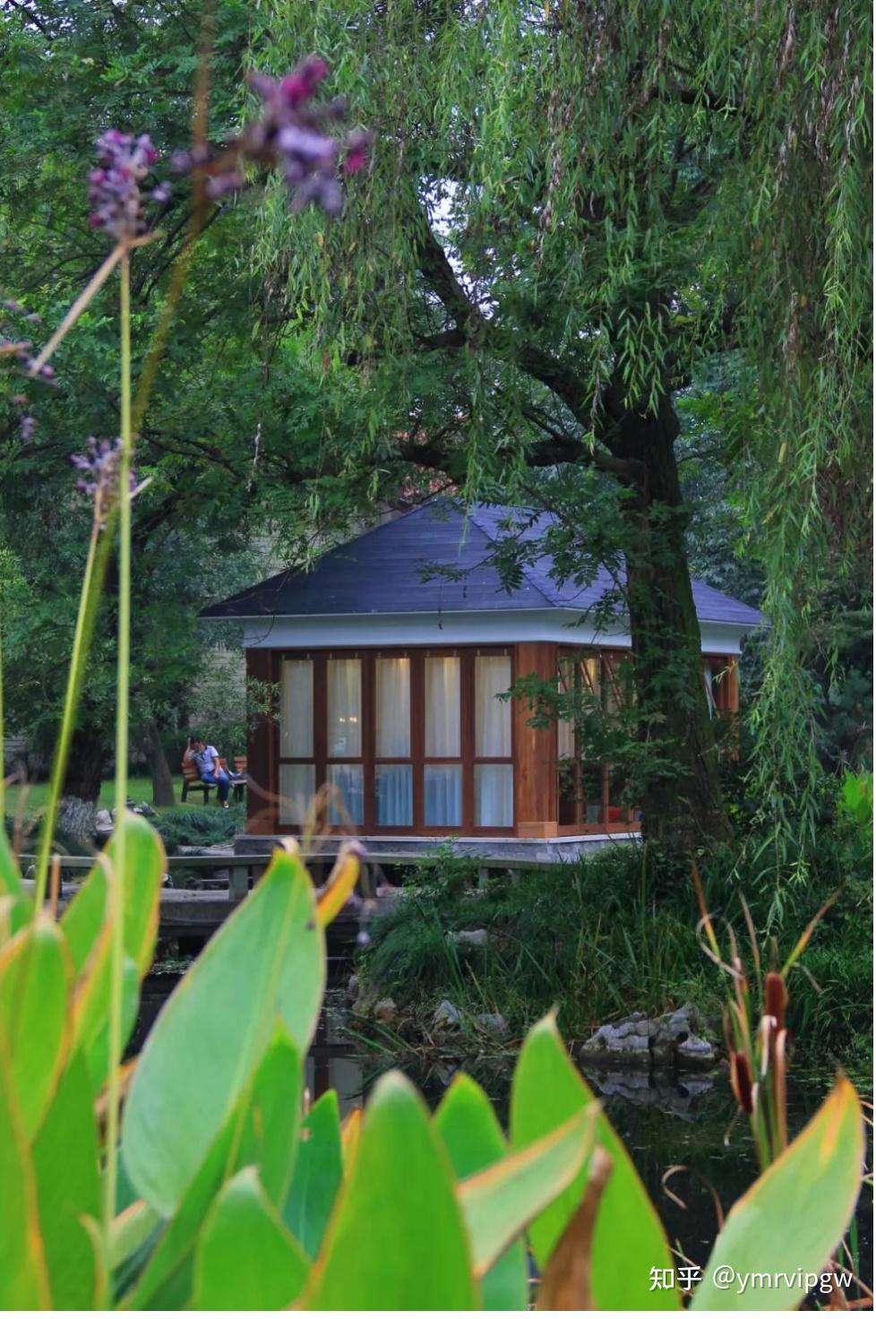 夏日乘凉好去处,杭州花圃欢迎您-虞美人国际集团