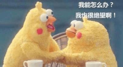 v2-e57efcd86bf29714fdf24228310c5f99_1440w.jpg?source=172ae18b