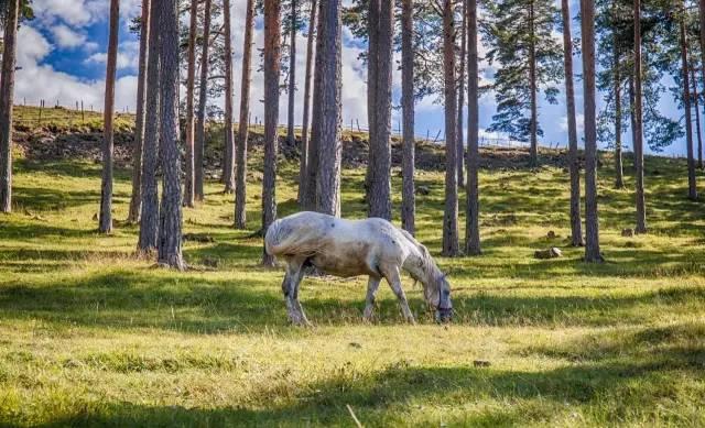 中国大陆公民去哪些国家旅游免签?
