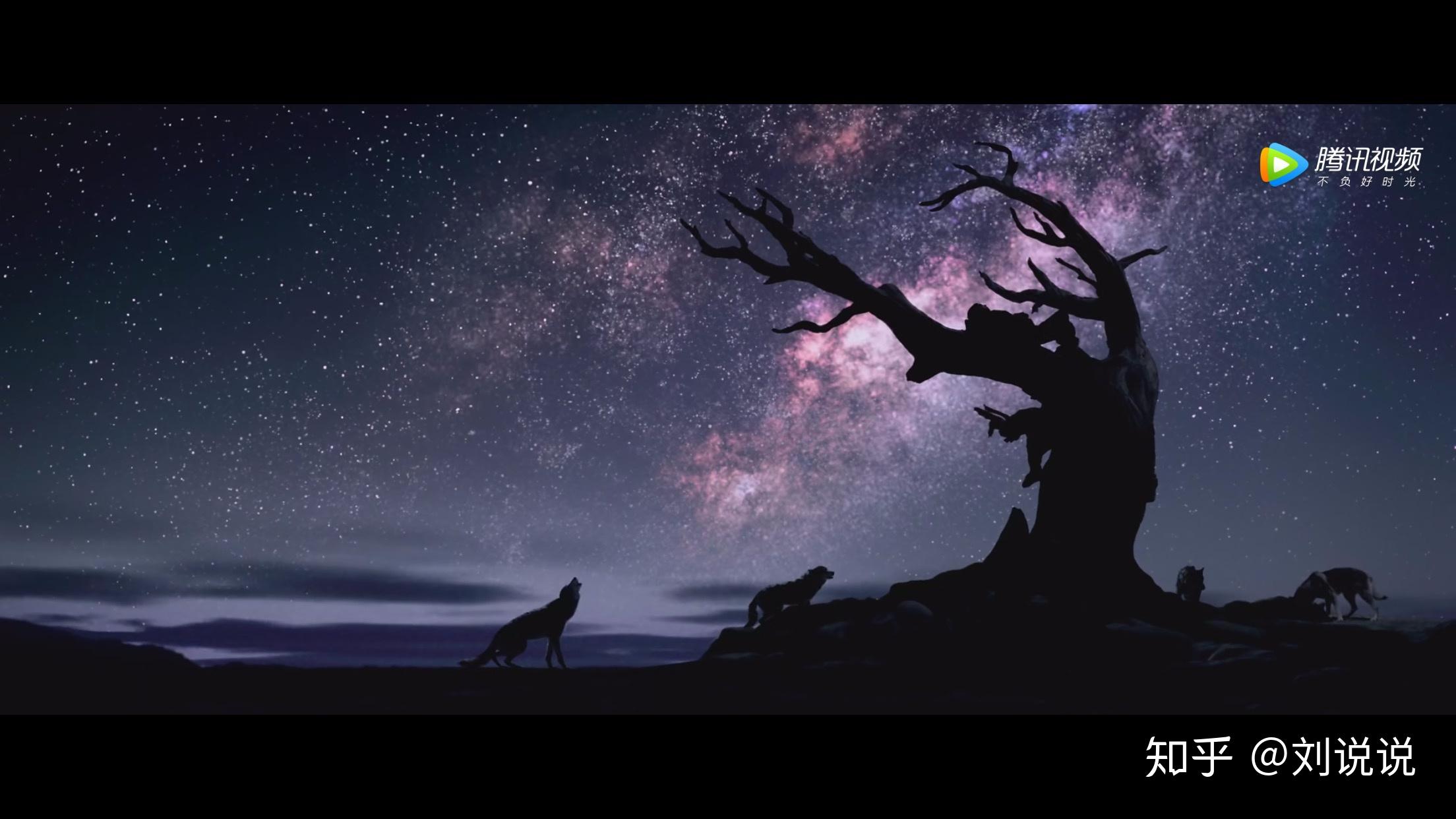 阿尔法狼伴归途