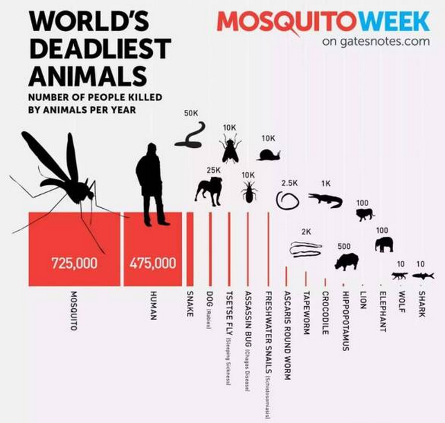 为什么香港现在流感(H3N2)疫情这么严重(至少