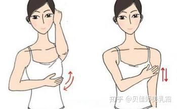 怎么才可以丰胸啊 v2-e5b9cb0de4622b94ffb6020ca47da7ce_b.jpg