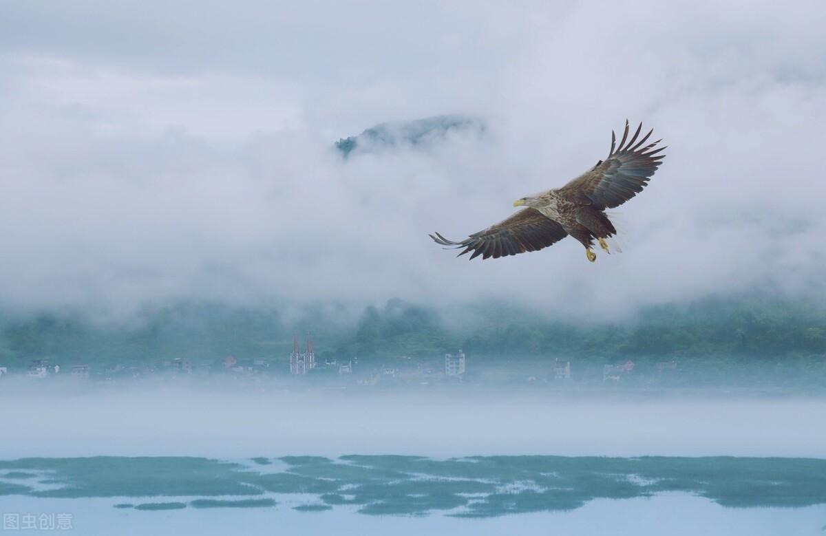 有感于猖獗的网络暴力