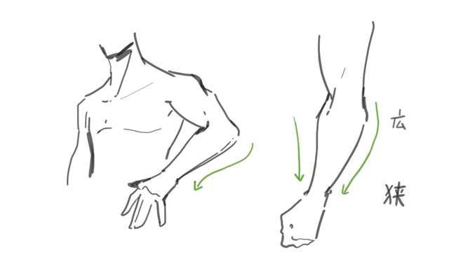 手臂胳膊怎么画?教你人物手臂姿势的画法教程