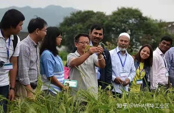 泰国农业现状及教育