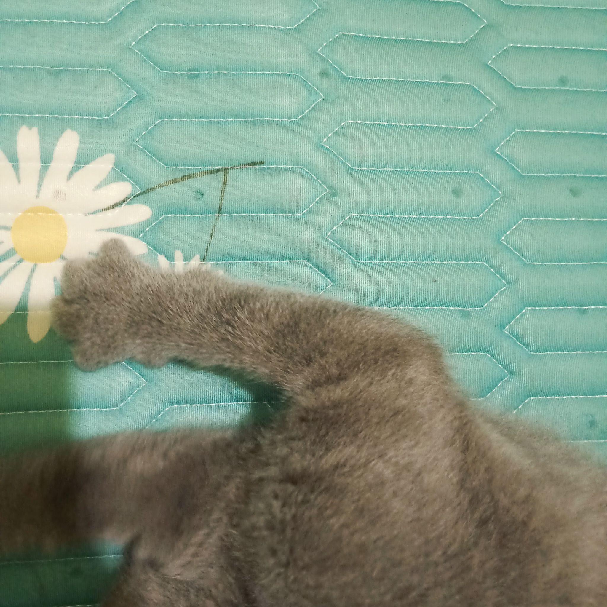 v2-e5dab509002206ba814b8c707fd49e3e_r.jpg