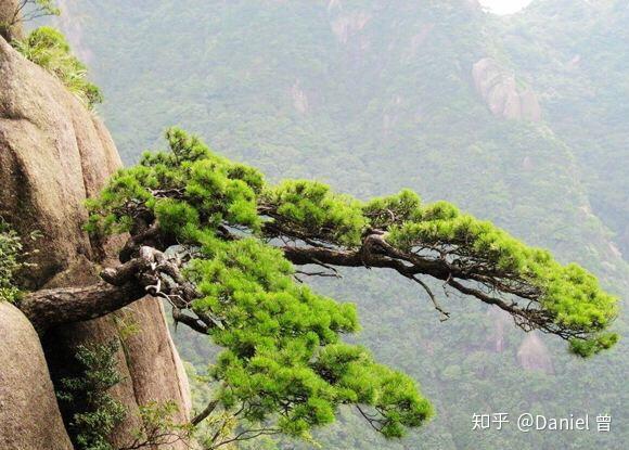绝地逢生需要多大的勇气
