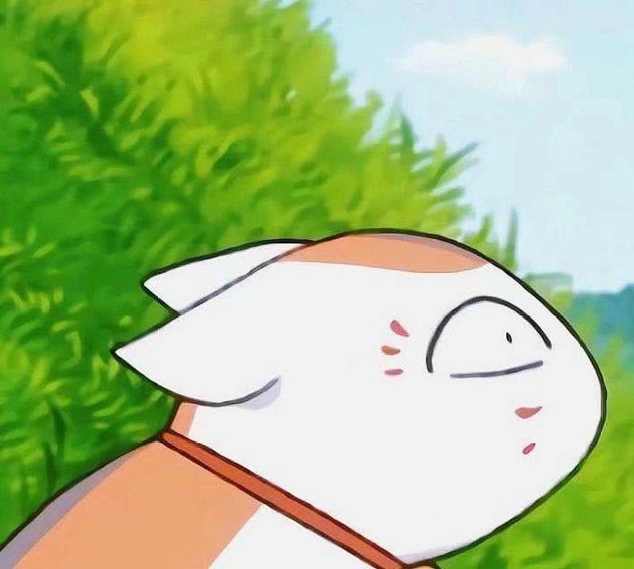 猫咪老师总结:人类总是无法抗拒可爱的猫猫呀～碎碎念:今天这里好热!