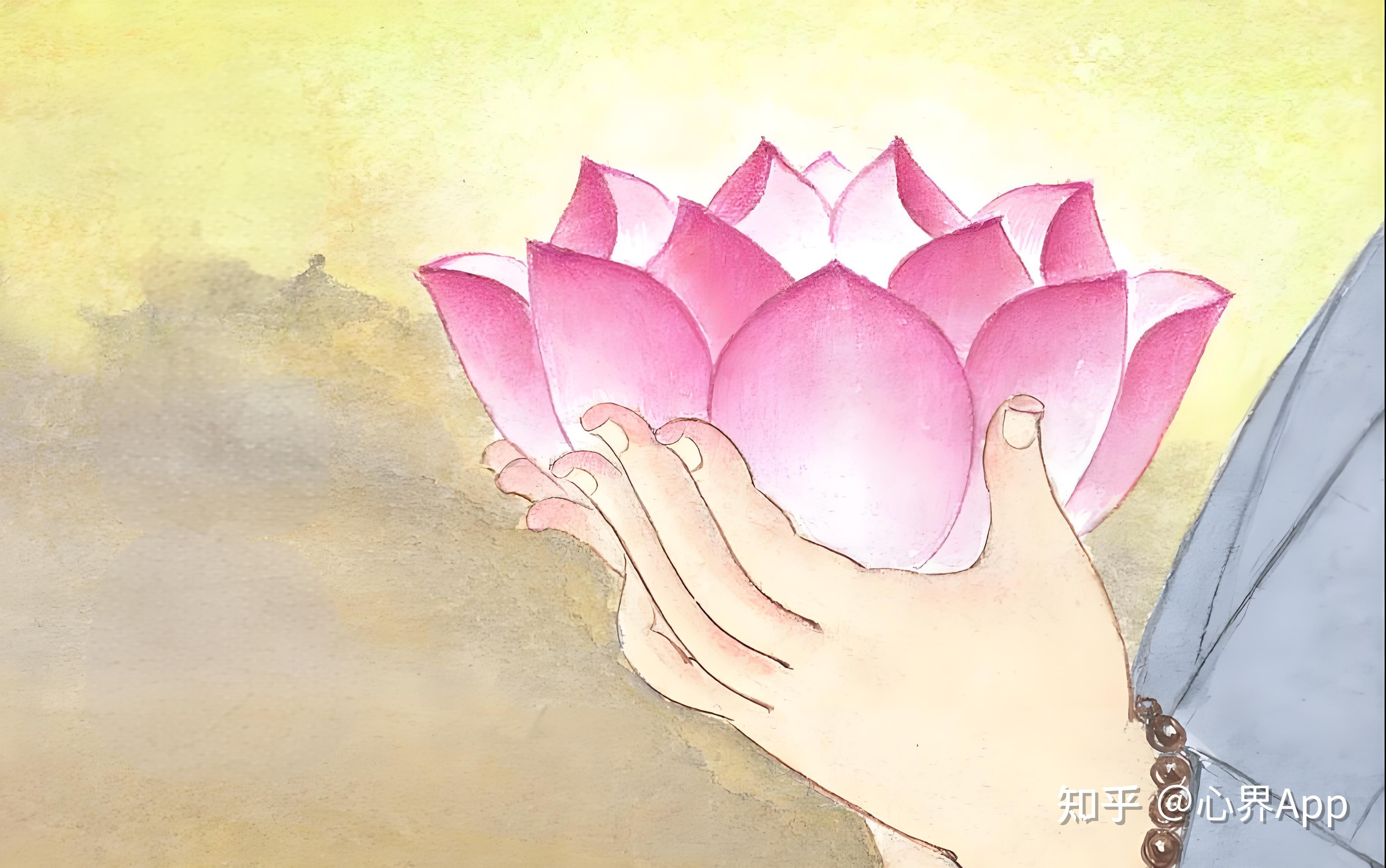 修心四步——观心、安心、静心、净心 - 知乎