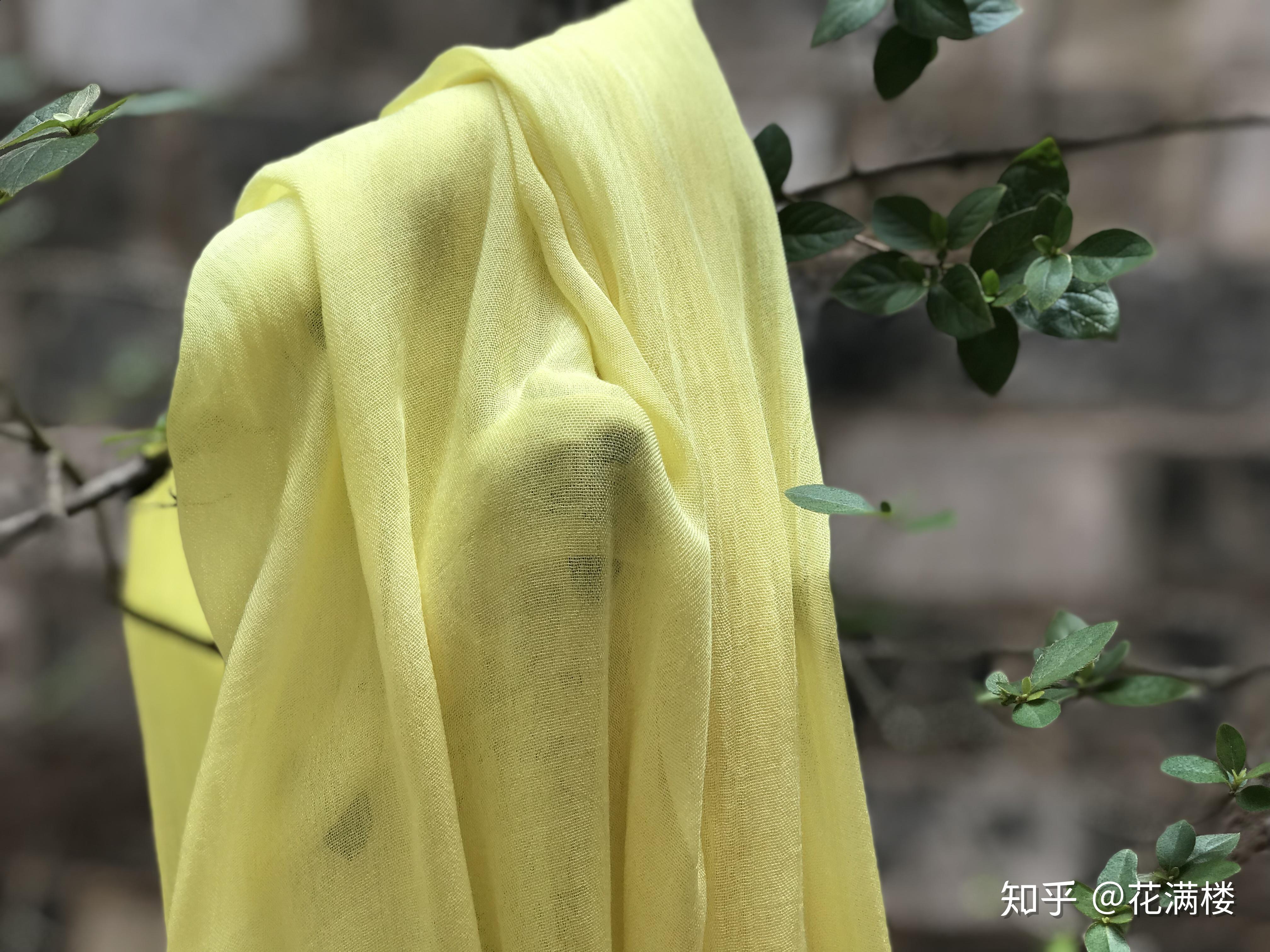 草木染白玉菩提根--槐米 染 黄 - 知乎