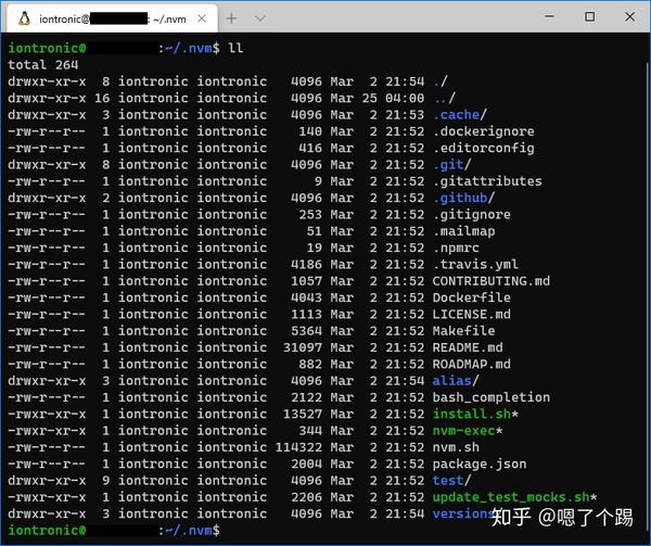 fira-code-jetbrains-mono-cascadia-code