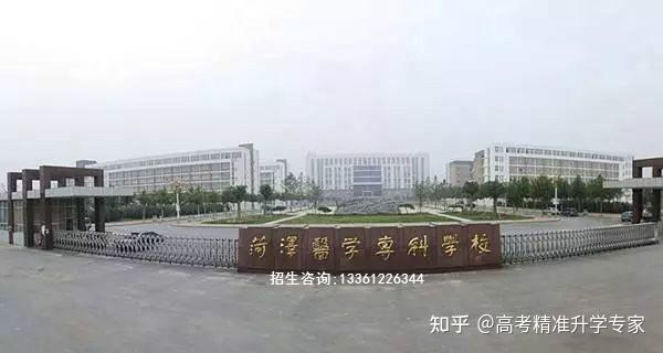 什么是高职专科 v2-e5fc03cc604ccbed92750936b294db56_r.jpg