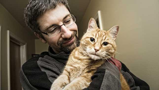 想当合格铲屎官,你知道怎么抱猫吗?